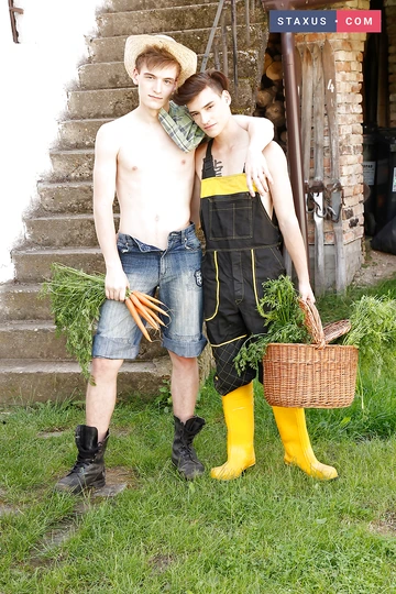 Boys at the farm bareback fucking