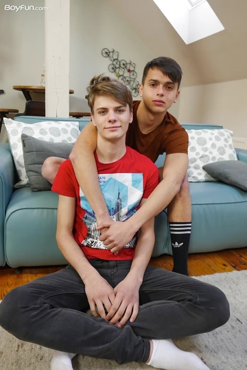 Boys on a sofa having anal sex